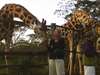 Maureen Stover - meeting the locals at Giraffe Centre, Nairobi